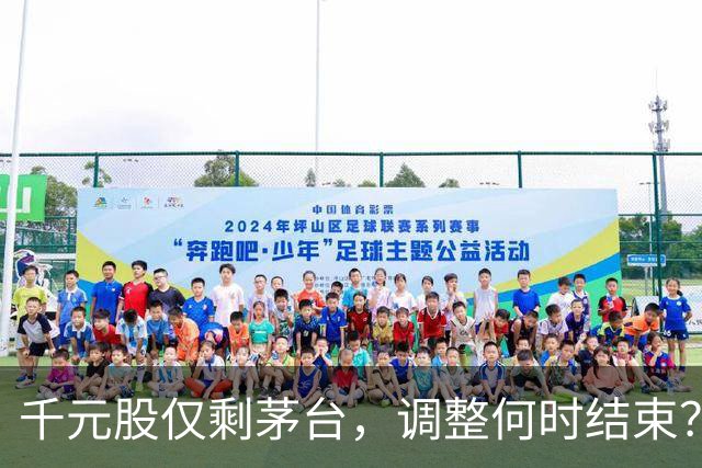 千元股仅剩茅台，调整何时结束？