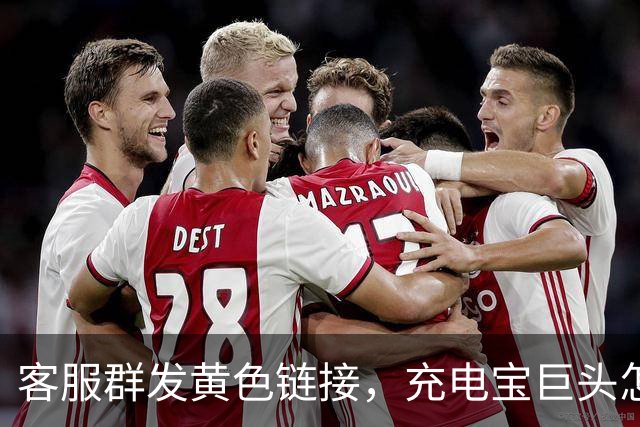 客服群发黄色链接，充电宝巨头怎么了？