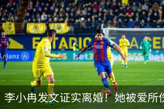 李小冉发文证实离婚！她被爱所伤，感动代替不了爱情