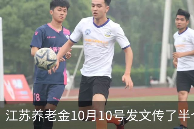 江苏养老金10月10号发文传了半个月，我妈信了