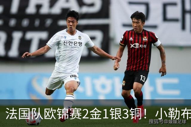 法国队欧锦赛2金1银3铜！小勒布伦回应双金，瑞典老将直言很失望