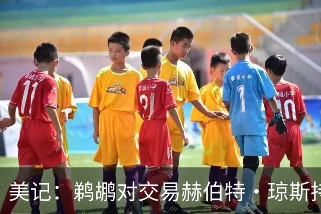 美记：鹈鹕对交易赫伯特·琼斯持开放态度 他们希望换回两个首轮