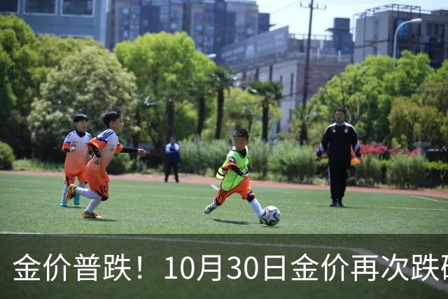 金价普跌！10月30日金价再次跌破1200元